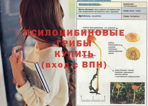 дистиллят марихуана Дмитровск
