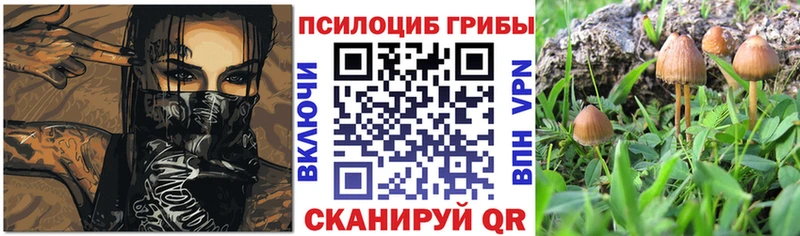 Псилоцибиновые грибы Magic Shrooms  Ессентукская 